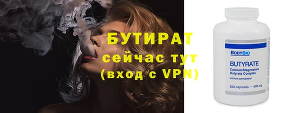 гашик Сосновка