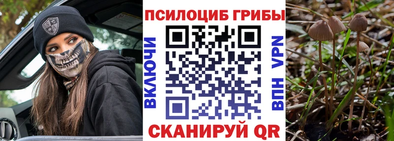 Купить закладки  Шебекино  Галлюциногенные грибы MAGIC MUSHROOMS 